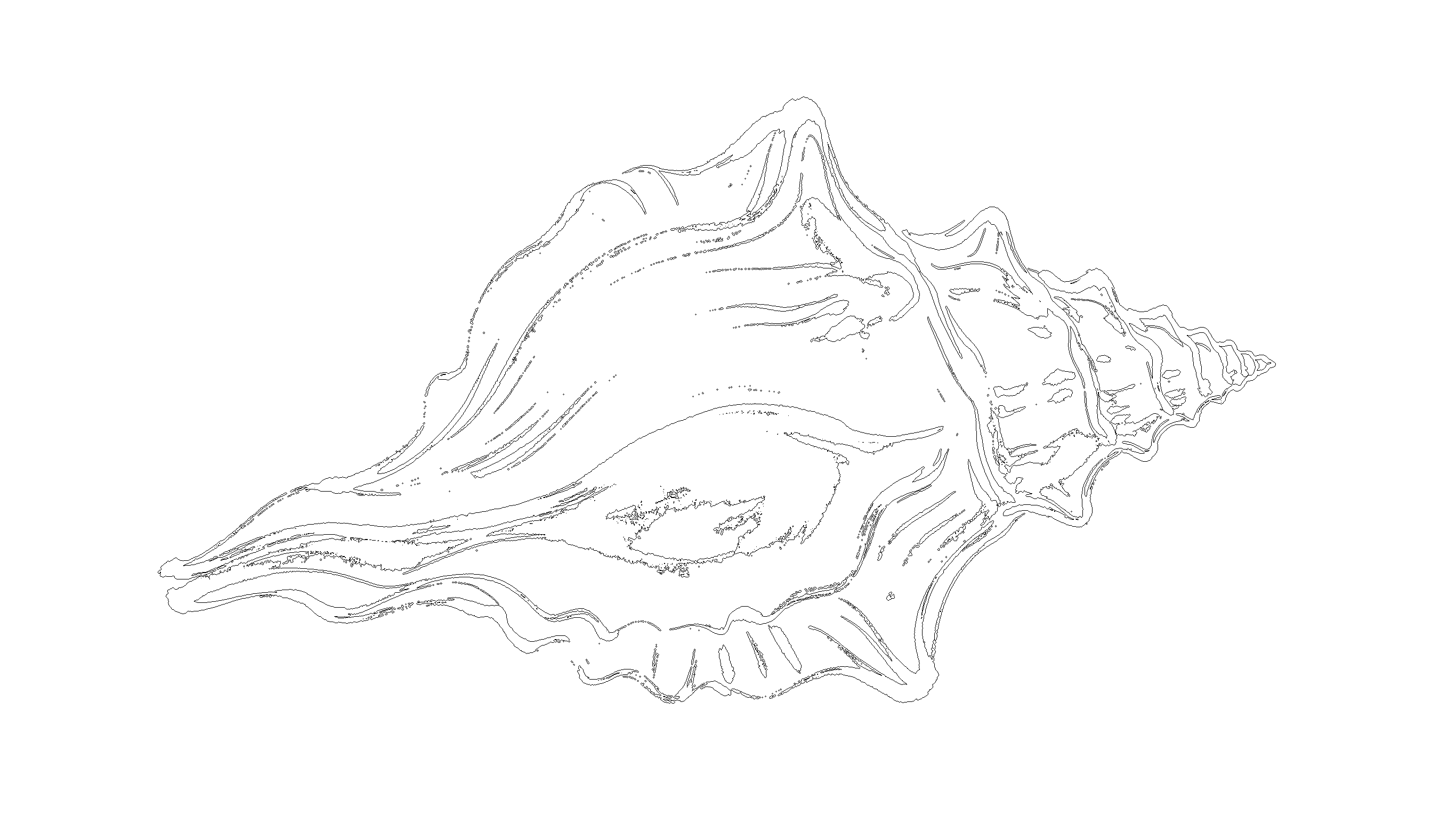 贝壳2