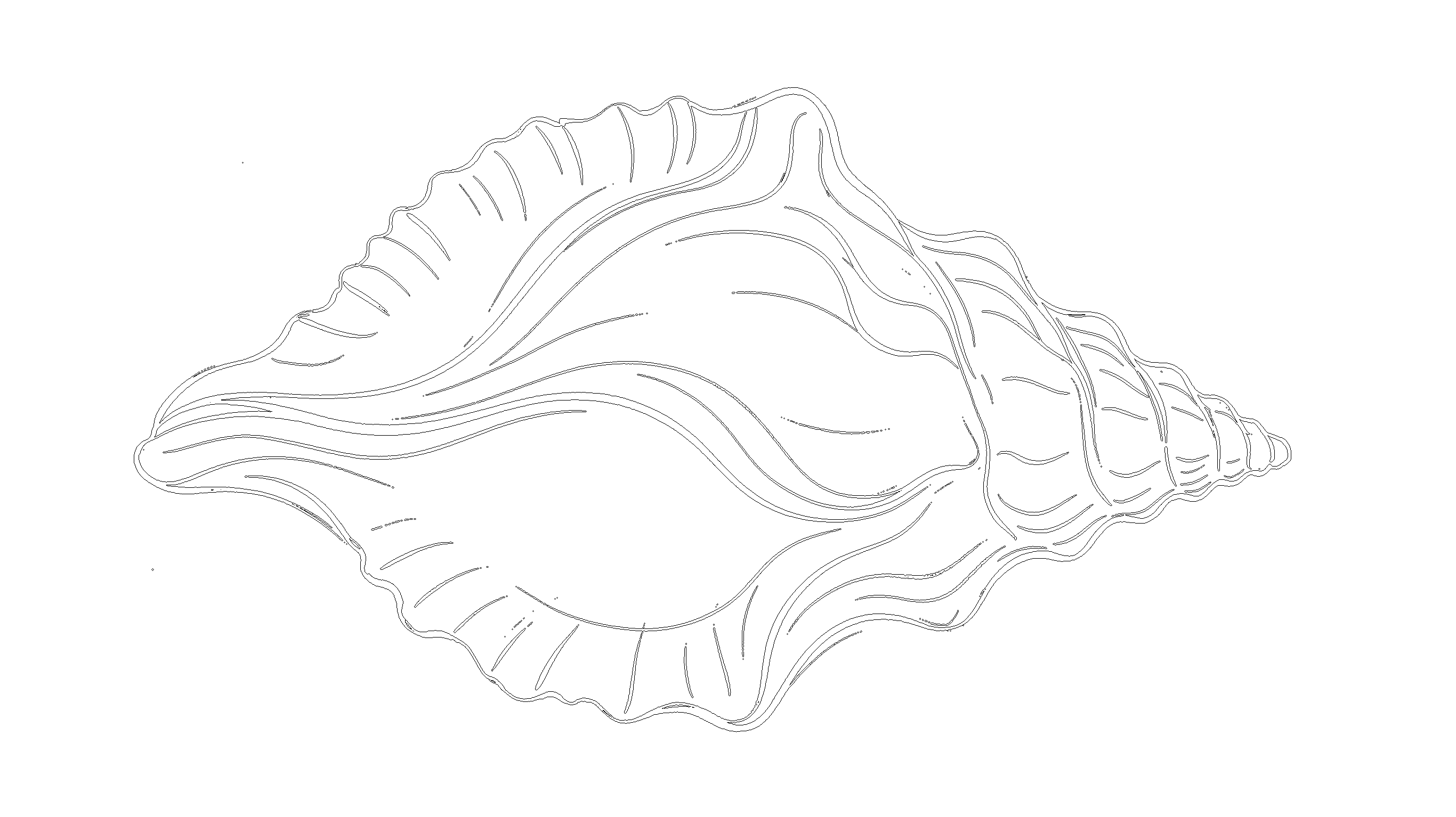 贝壳3