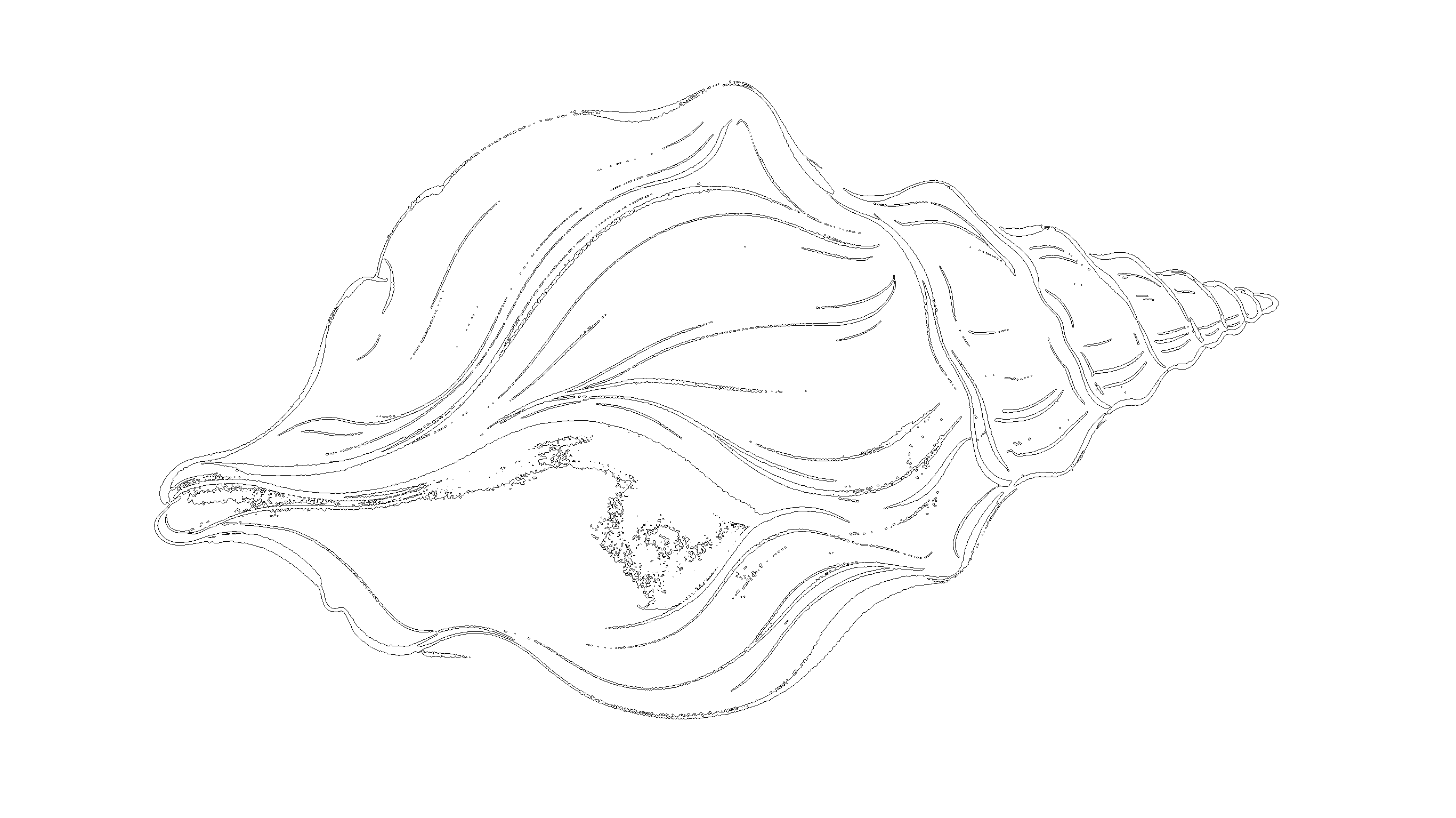 贝壳5