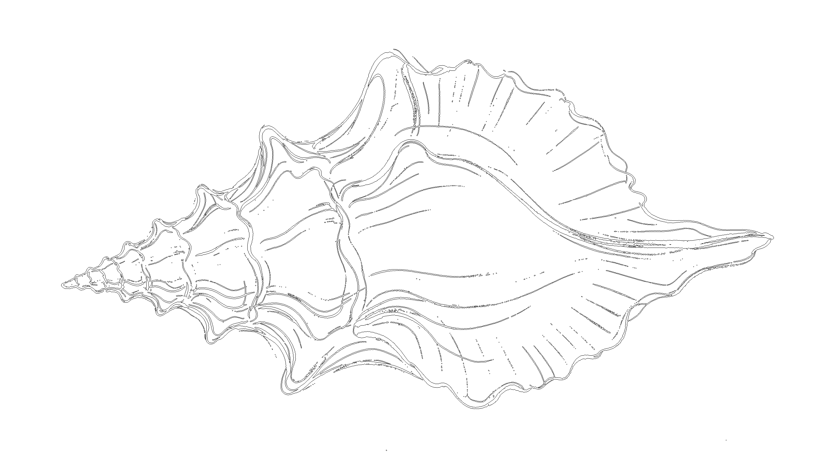 贝壳7