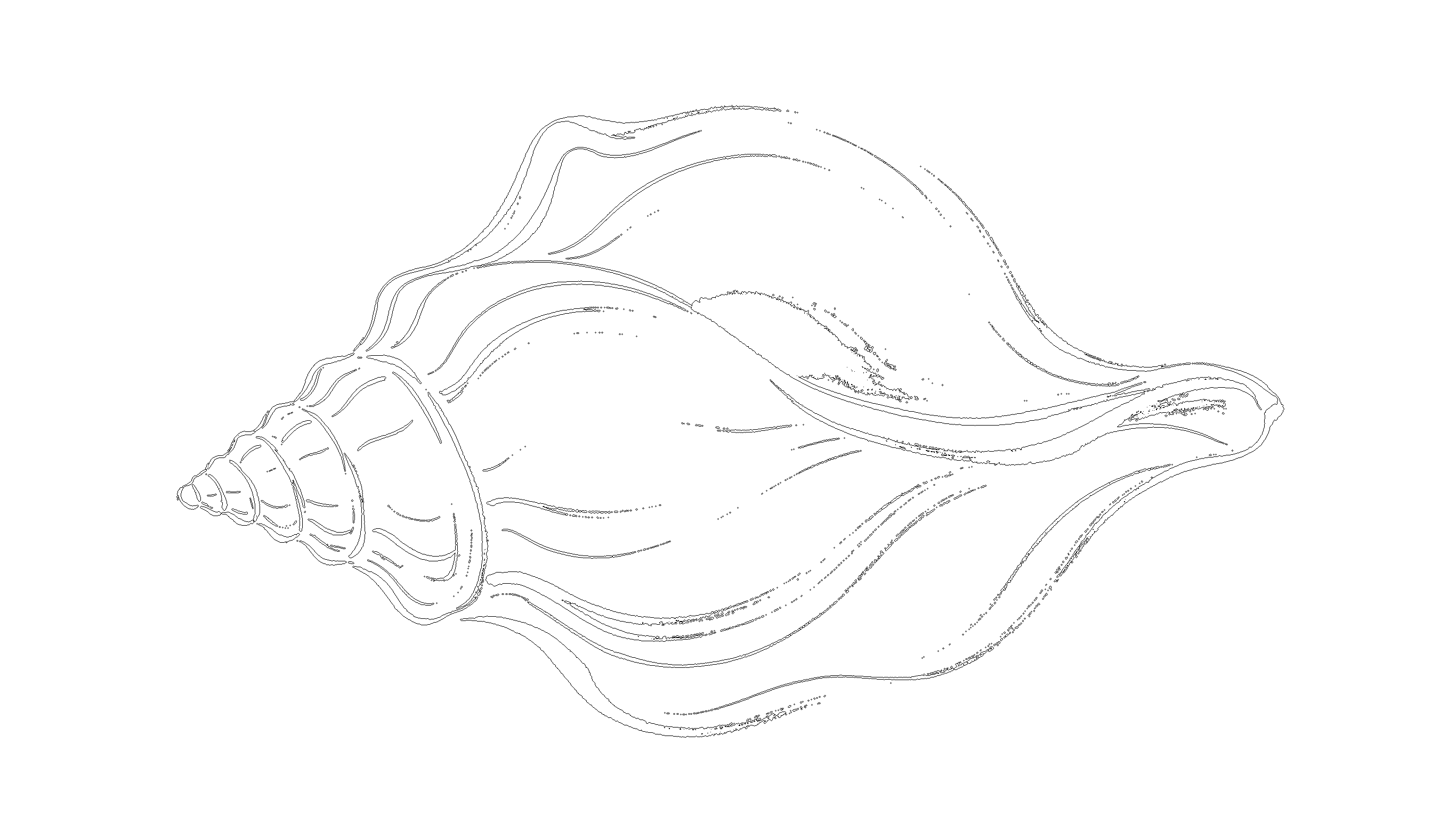 贝壳8