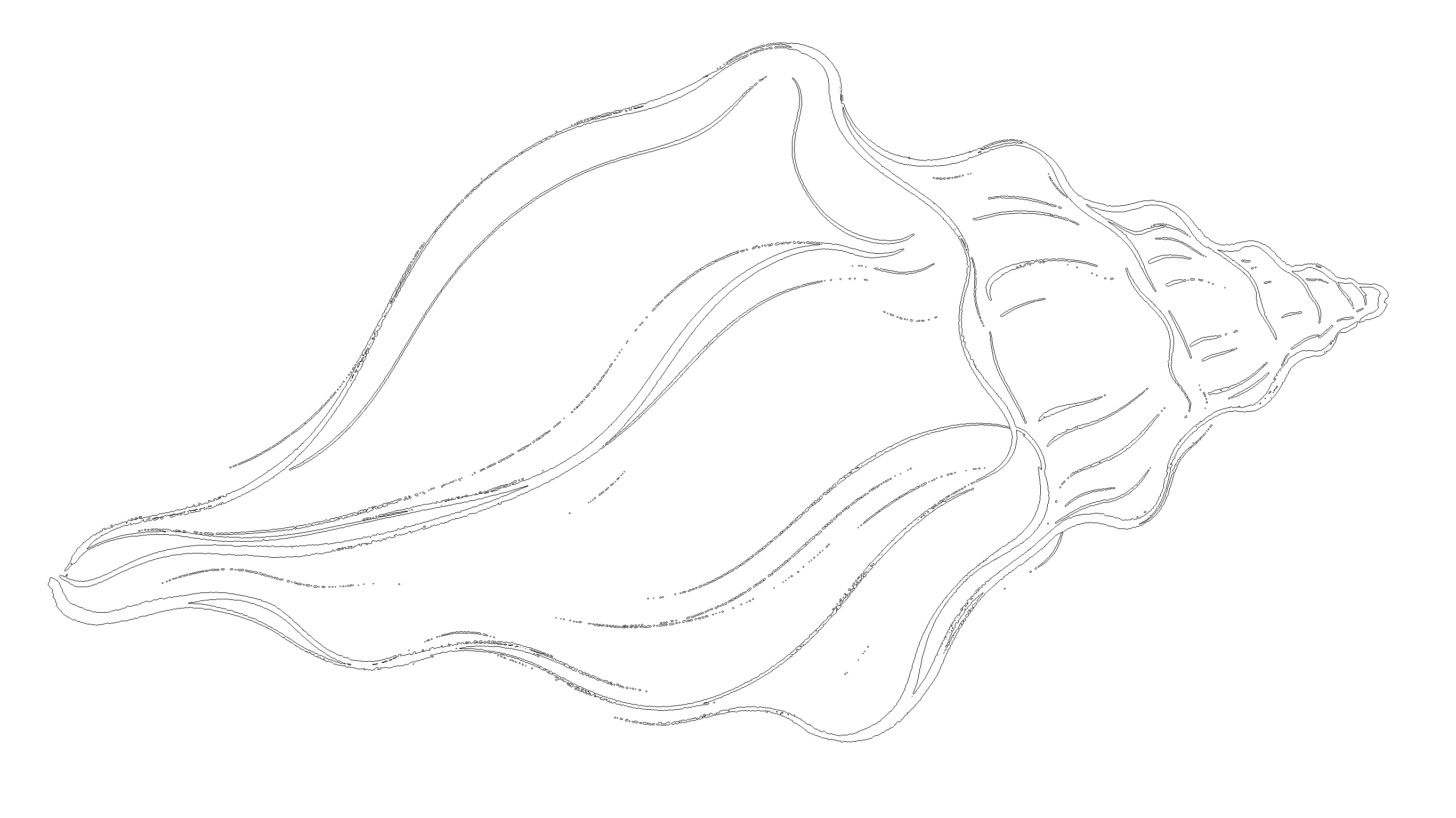贝壳9